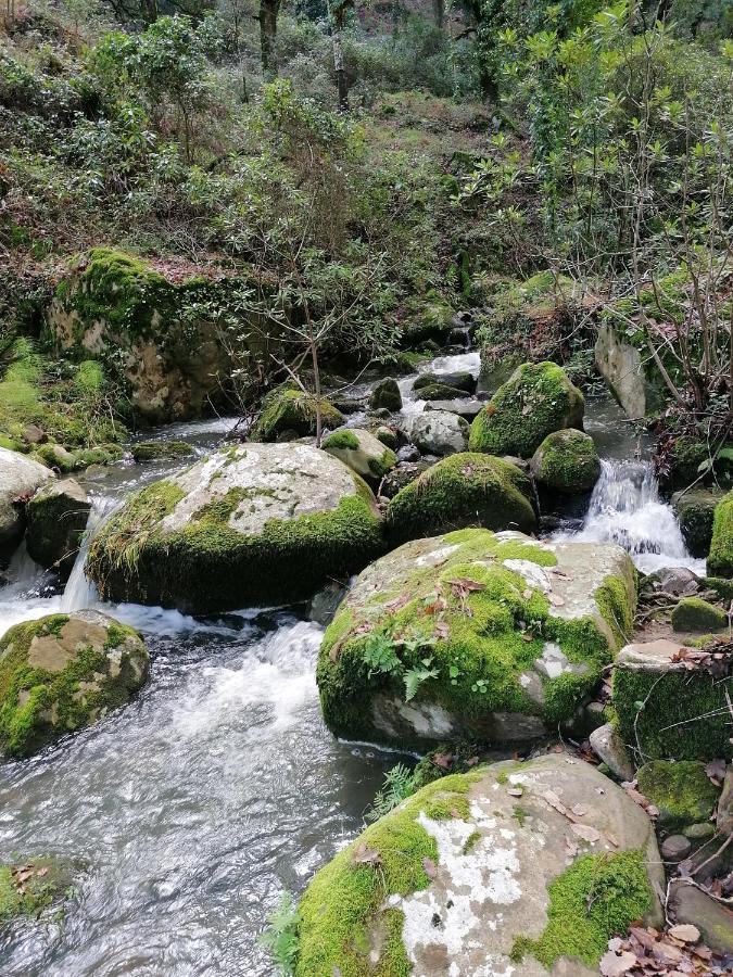 Casa Quercus Con Piscina Privada Διαμέρισμα Cortes de la Frontera Εξωτερικό φωτογραφία