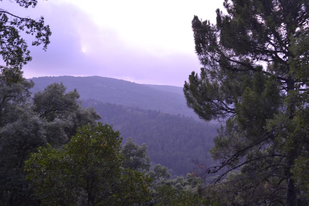 Casa Quercus Con Piscina Privada Διαμέρισμα Cortes de la Frontera Εξωτερικό φωτογραφία